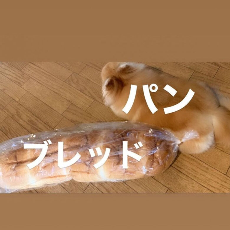 匂わせ①